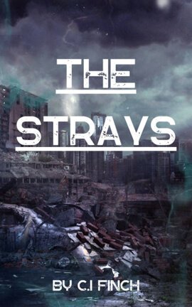 The Strays