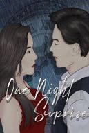 One Night Surprise Novel