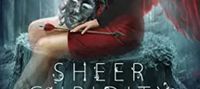 Sheer Cupidity: A Standalone Cupidity Romance (Heart Hassle Book 5)